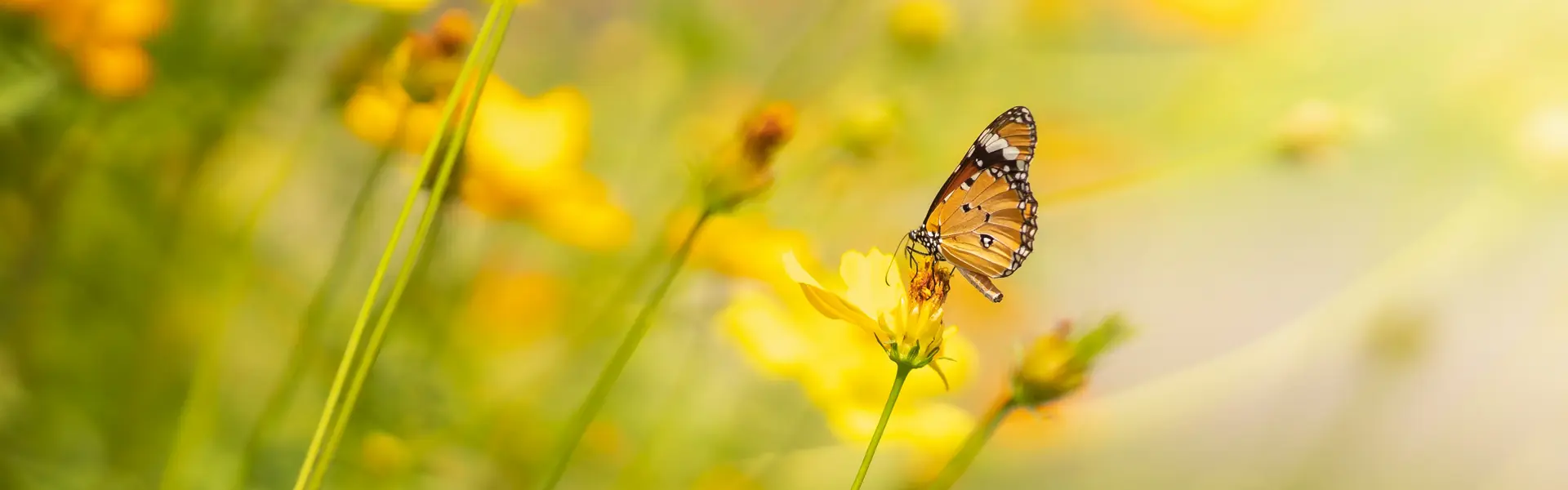 AdobeStock 410956061